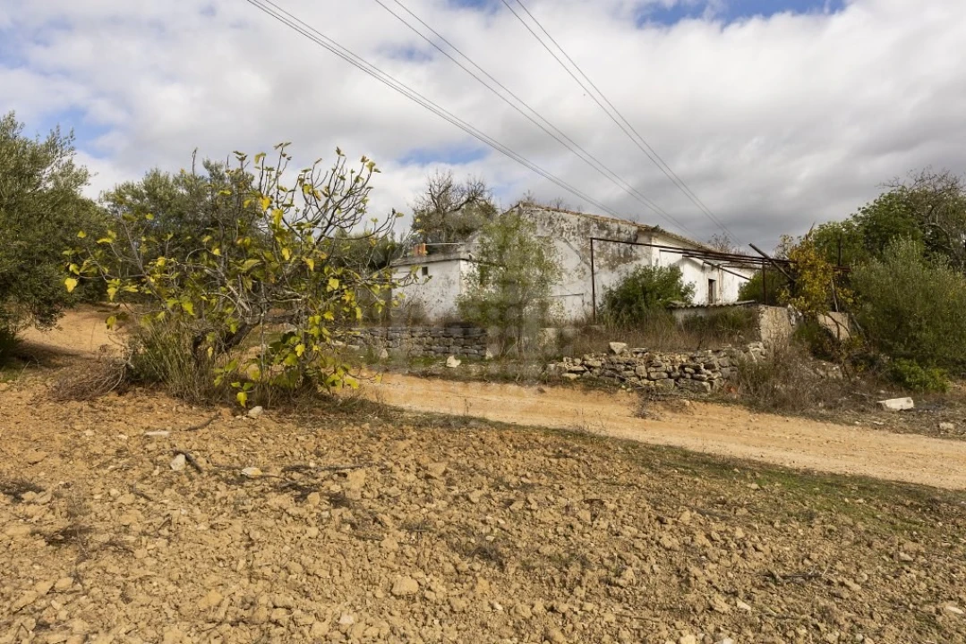 Terreno para Venda em Loule (São Clemente) Foto 16