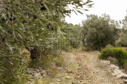 Terreno para Venda em Loule (São Clemente)