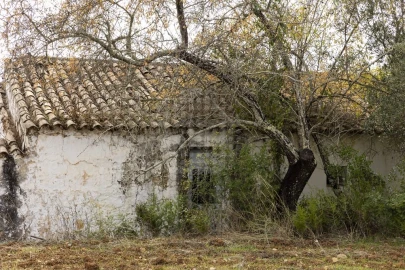 Terreno para Venda em Loule (São Clemente)