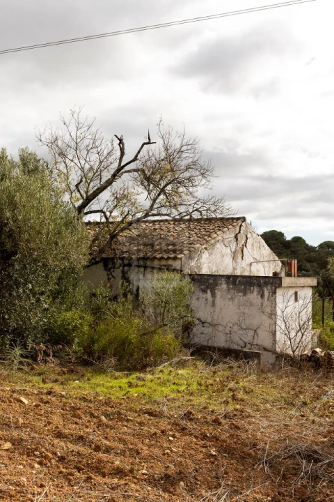 Terreno para Venda em Loule (São Clemente)