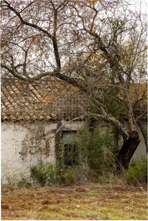 Terreno para Venda em Loule (São Clemente)