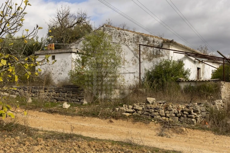 Terreno para Venda em Loule (São Clemente) Foto 3