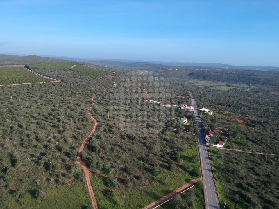 Terreno para Venda em Querença, Tôr e Benafim Foto 3
