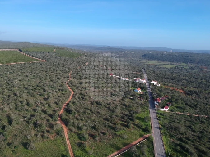 Terreno para Venda em Querença, Tôr e Benafim Foto 3