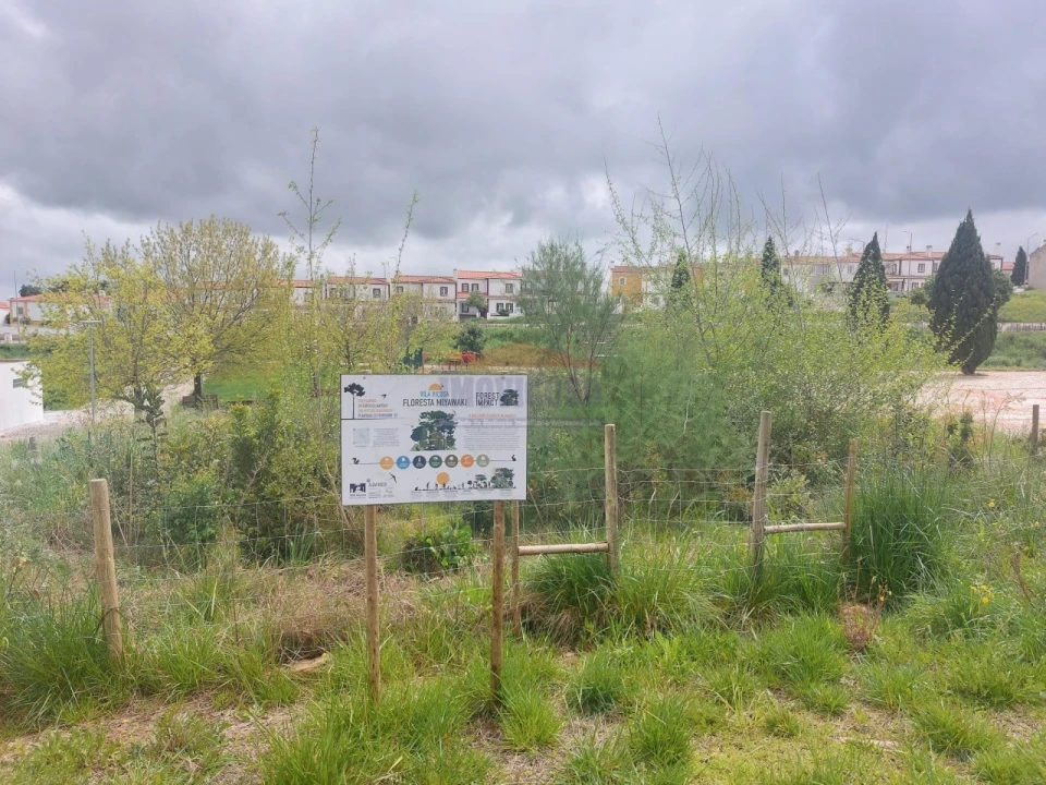 Terreno para Venda em Nossa Senhora da Conceição e São Bartolomeu Foto 13