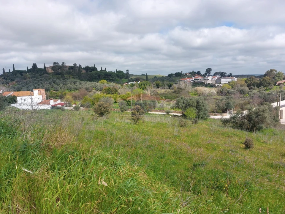 Terreno para Venda em Nossa Senhora da Conceição e São Bartolomeu Foto 3