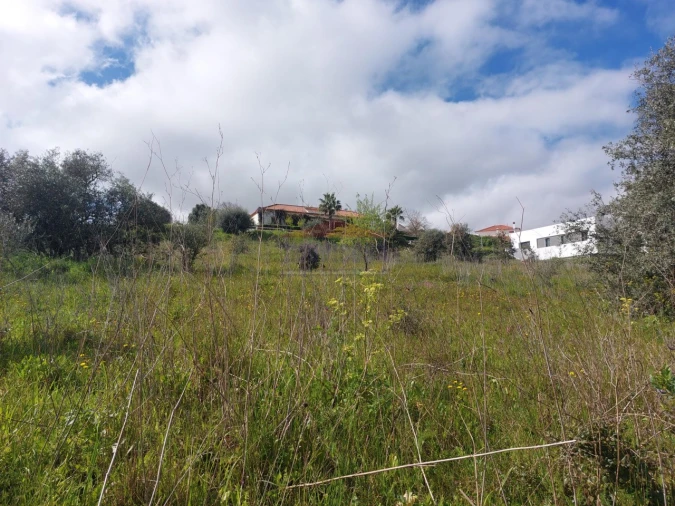 Terreno para Venda em Nossa Senhora da Conceição e São Bartolomeu Foto 8
