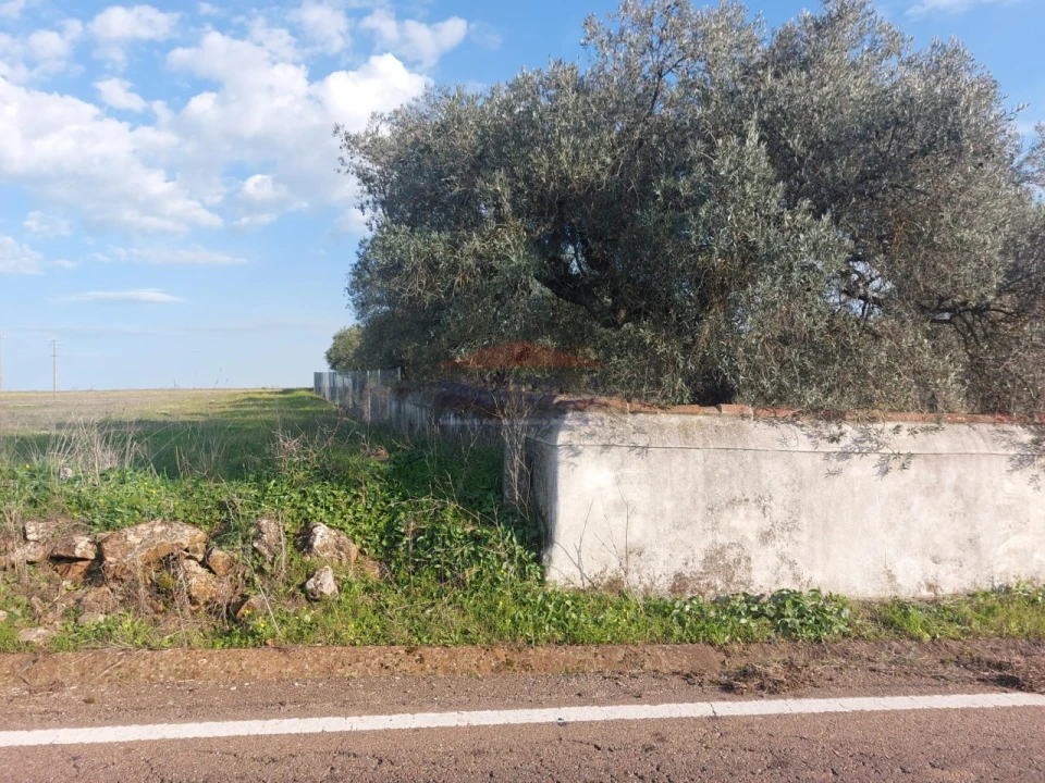 Terreno Agricola ou Rústico para Venda em Assunção, Ajuda, Salvador e Santo Ildefonso Foto 5