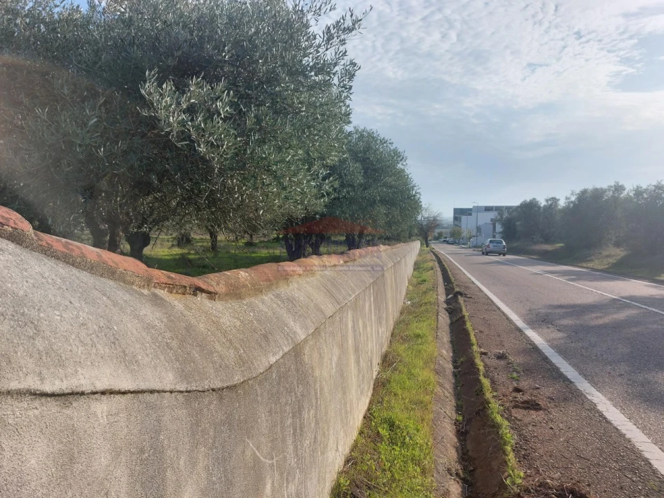 Terreno Agricola ou Rústico para Venda em Assunção, Ajuda, Salvador e Santo Ildefonso Foto 6