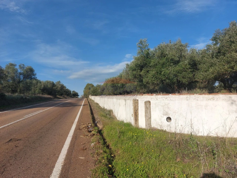 Terreno Agricola ou Rústico para Venda em Assunção, Ajuda, Salvador e Santo Ildefonso Foto 8