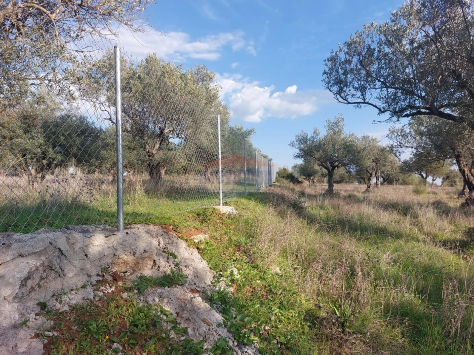 Terreno Agricola ou Rústico para Venda em Assunção, Ajuda, Salvador e Santo Ildefonso Foto 10