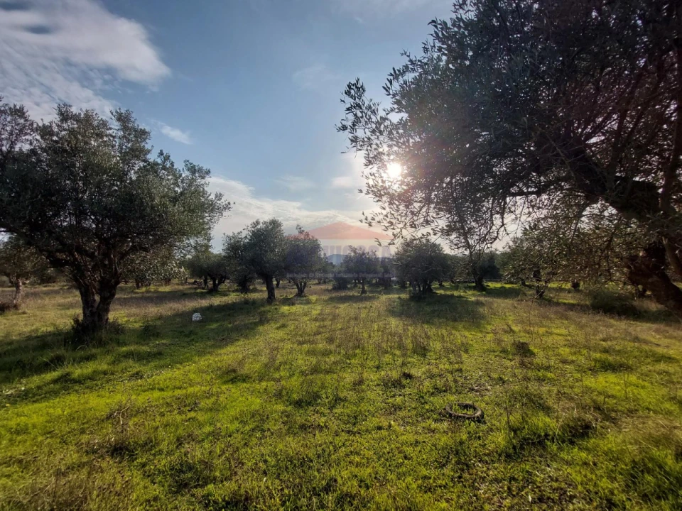 Terreno Agricola ou Rústico para Venda em Assunção, Ajuda, Salvador e Santo Ildefonso Foto 3