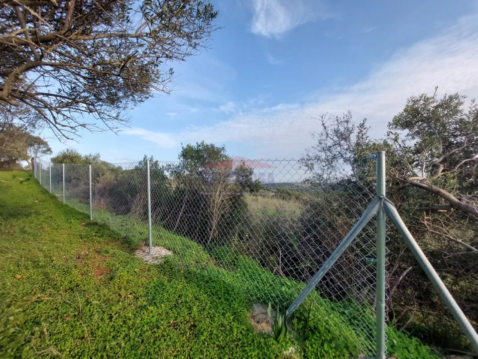 Terreno Agricola ou Rústico para Venda em Assunção, Ajuda, Salvador e Santo Ildefonso Foto 13