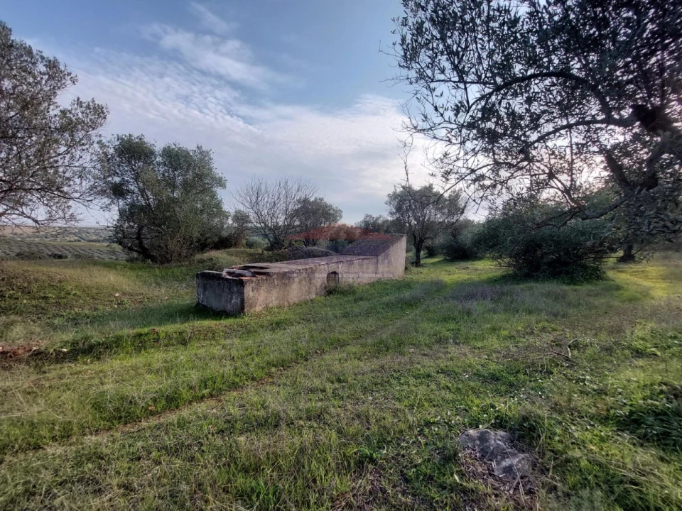 Terreno Agricola ou Rústico para Venda em Assunção, Ajuda, Salvador e Santo Ildefonso Foto 15