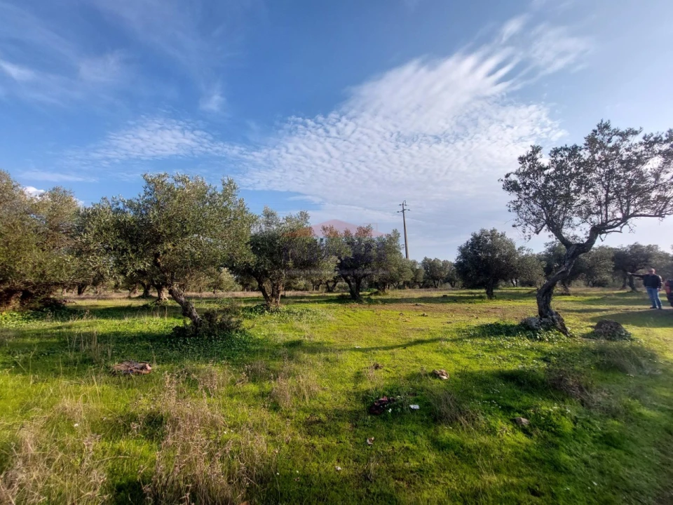 Terreno Agricola ou Rústico para Venda em Assunção, Ajuda, Salvador e Santo Ildefonso Foto 16