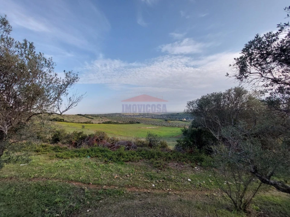 Terreno Agricola ou Rústico para Venda em Assunção, Ajuda, Salvador e Santo Ildefonso Foto 17