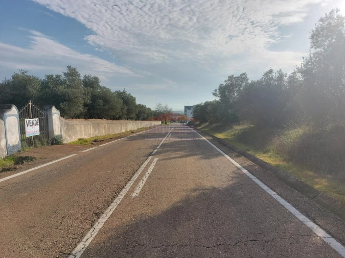 Terreno Agricola ou Rústico para Venda em Assunção, Ajuda, Salvador e Santo Ildefonso Foto 4