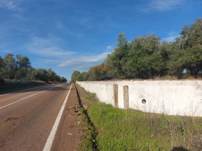 Terreno Agricola ou Rústico para Venda em Assunção, Ajuda, Salvador e Santo Ildefonso Foto 8