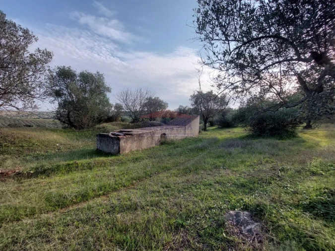 Terreno Agricola ou Rústico para Venda em Assunção, Ajuda, Salvador e Santo Ildefonso Foto 15
