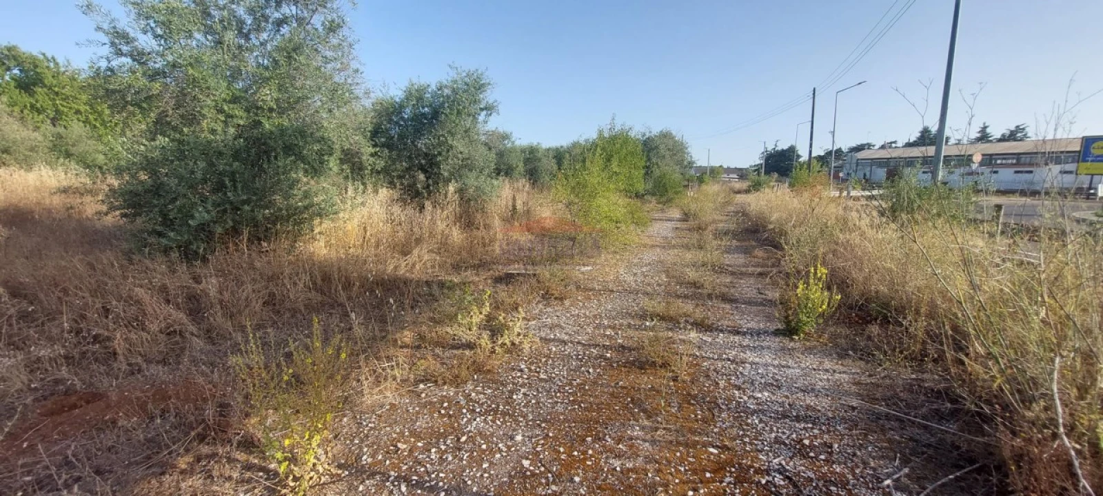 Terreno para Venda em Nossa Senhora da Conceição e São Bartolomeu Foto 4
