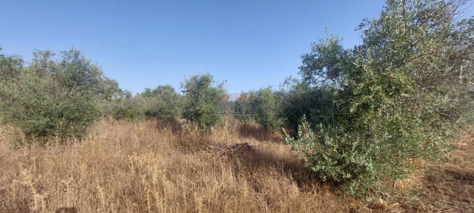 Terreno para Venda em Nossa Senhora da Conceição e São Bartolomeu Foto 5