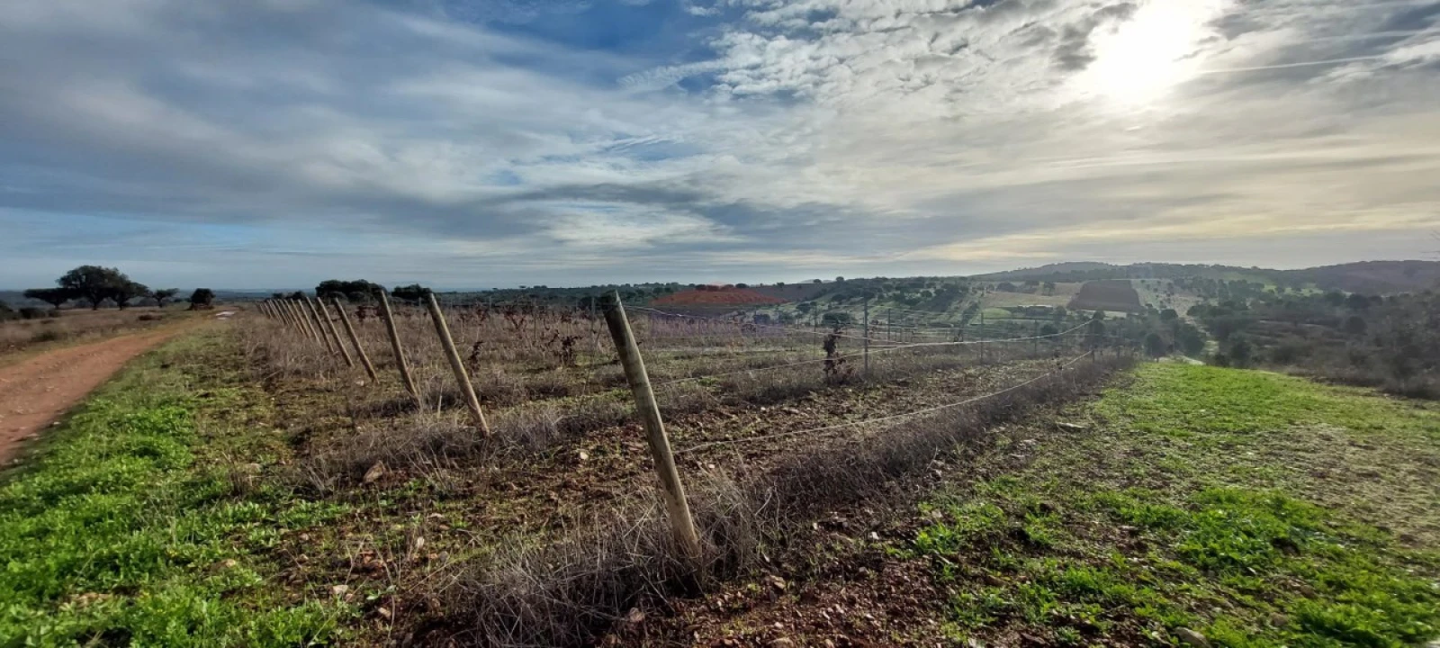 Terreno Agricola ou Rústico para Venda em Corval Foto 5