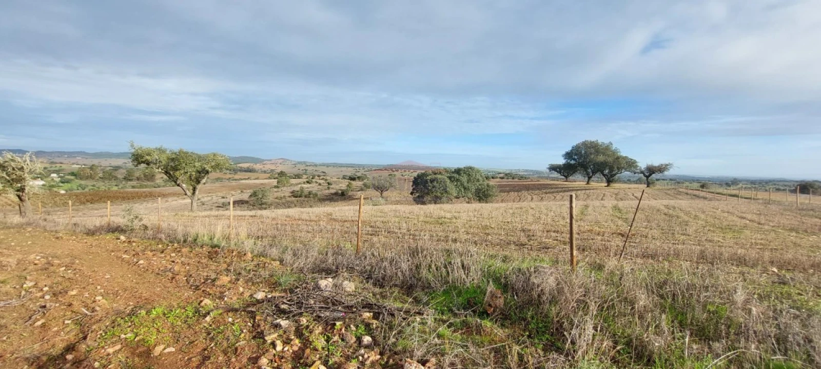 Terreno Agricola ou Rústico para Venda em Corval Foto 8