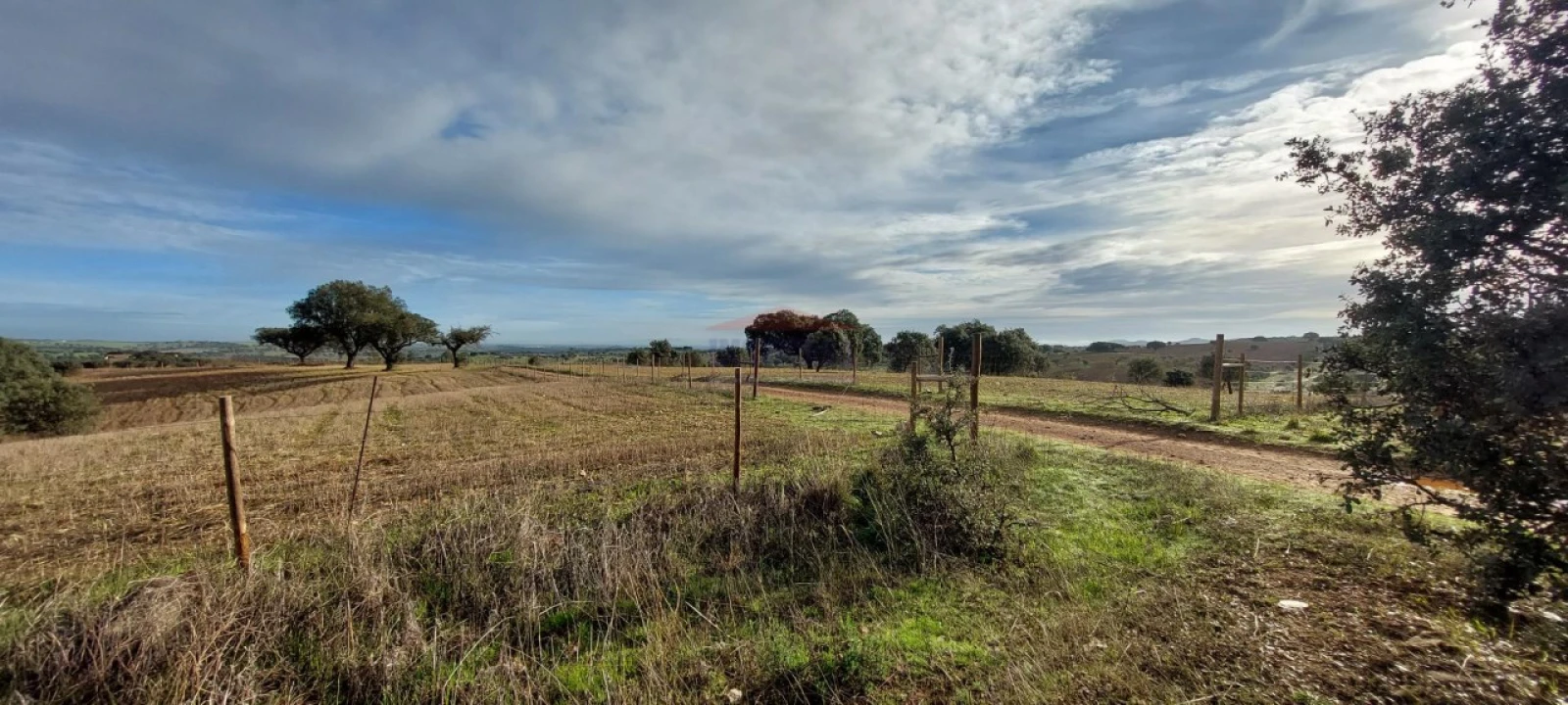 Terreno Agricola ou Rústico para Venda em Corval Foto 9