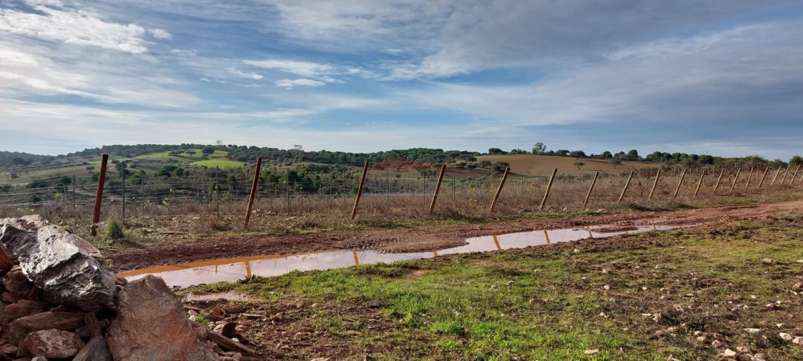 Terreno Agricola ou Rústico para Venda em Corval Foto 10