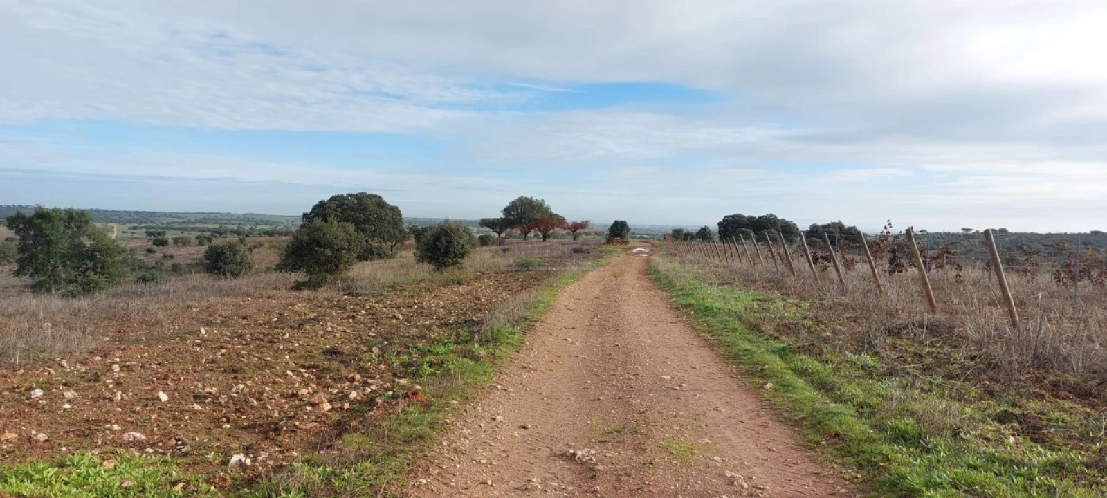 Terreno Agricola ou Rústico para Venda em Corval Foto 11