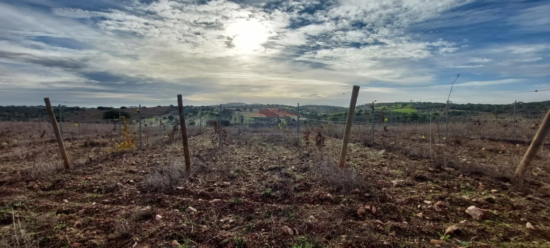 Terreno Agricola ou Rústico para Venda em Corval Foto 3