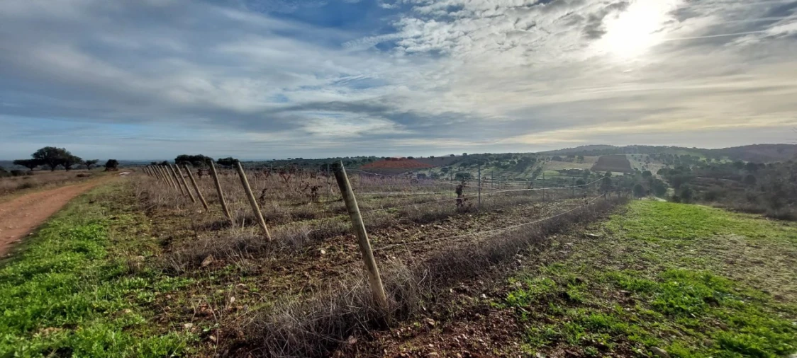 Terreno Agricola ou Rústico para Venda em Corval Foto 5