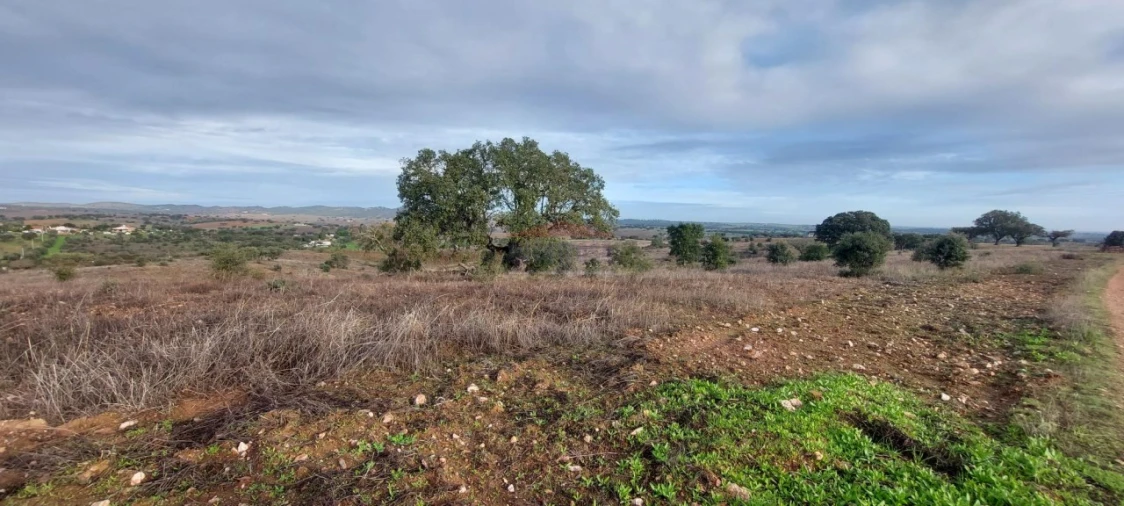 Terreno Agricola ou Rústico para Venda em Corval Foto 1