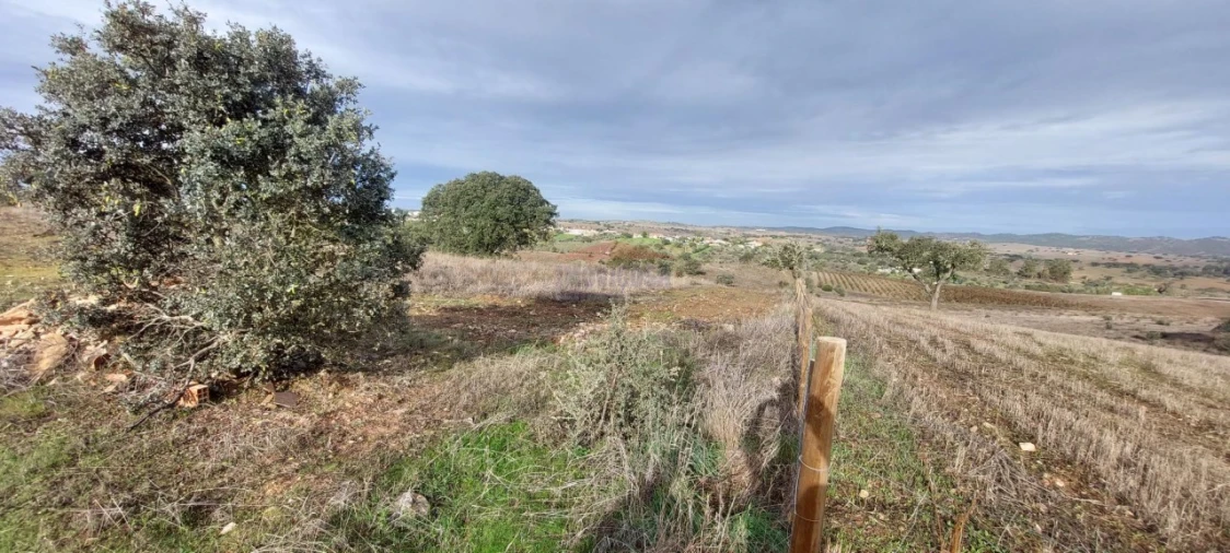 Terreno Agricola ou Rústico para Venda em Corval Foto 6
