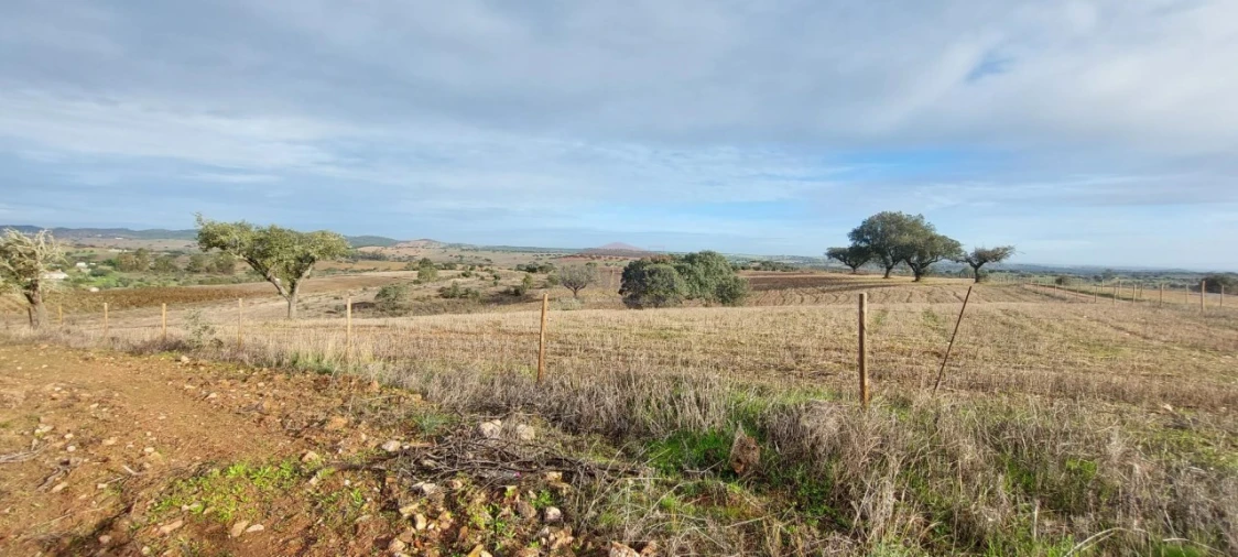 Terreno Agricola ou Rústico para Venda em Corval Foto 8