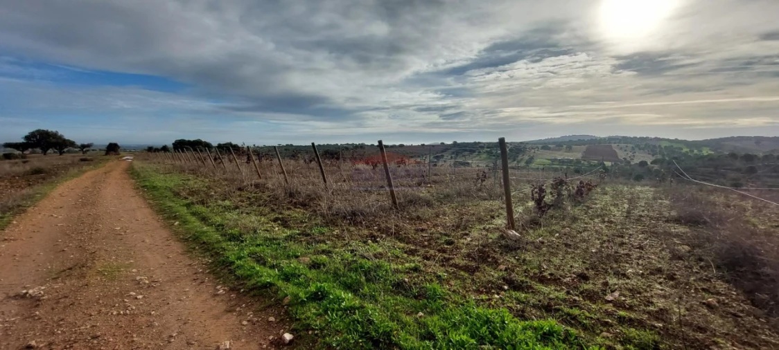 Terreno Agricola ou Rústico para Venda em Corval Foto 4