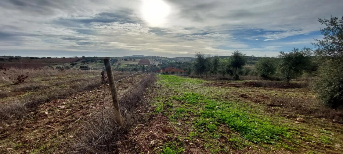 Terreno Agricola ou Rústico para Venda em Corval Foto 12