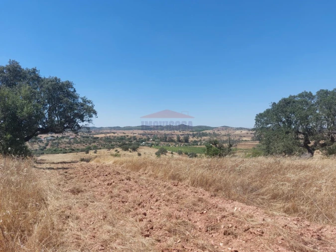 Terreno Agricola ou Rústico para Venda em Corval Foto 2