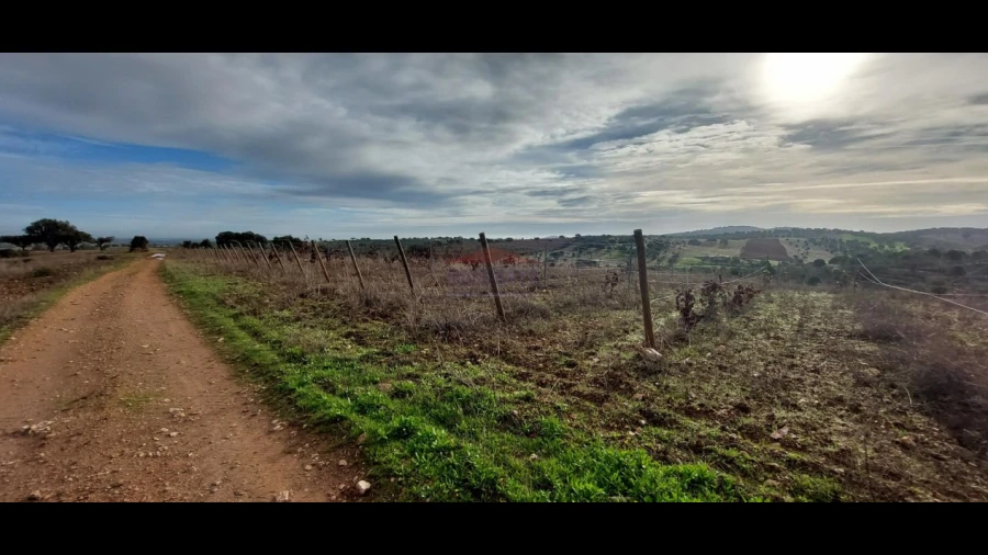 Terreno Agricola ou Rústico para Venda em Corval