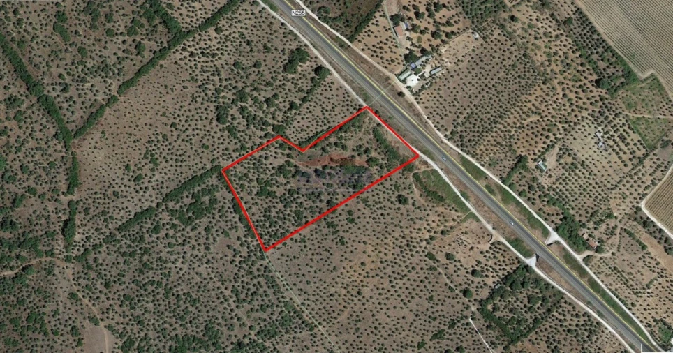 Terreno Agricola ou Rústico para Venda em Nossa Senhora da Conceição e São Bartolomeu Foto 2