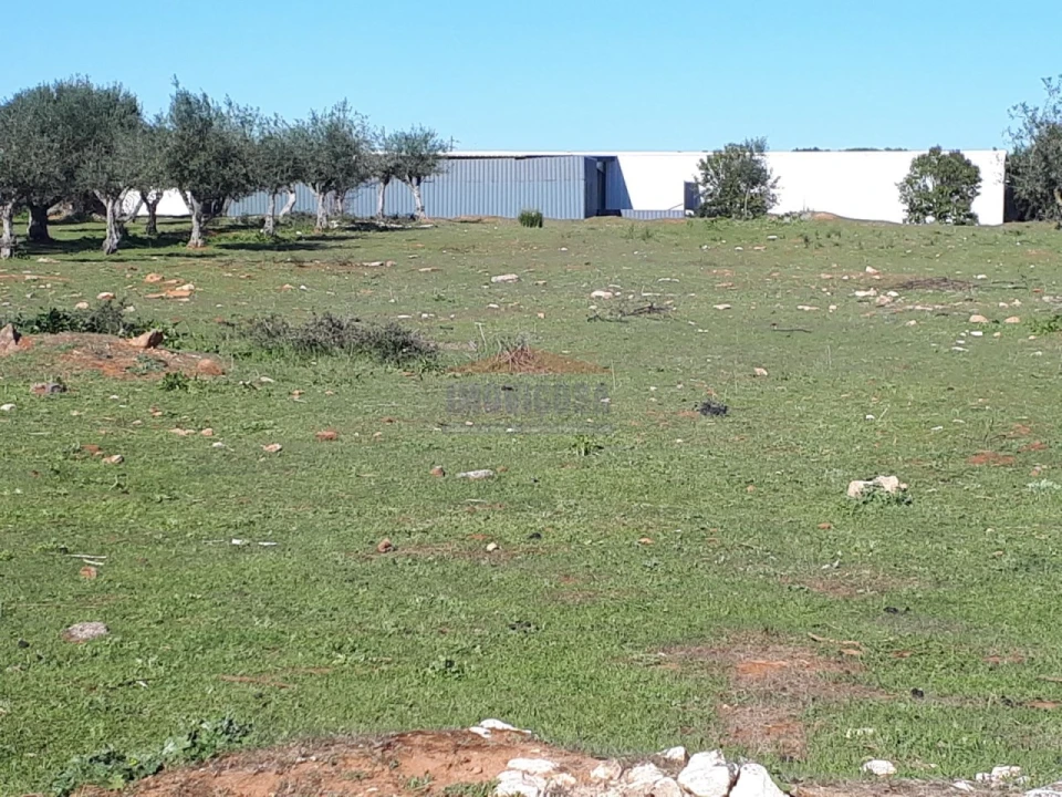 Terreno para Venda em Nossa Senhora da Conceição e São Bartolomeu Foto 1