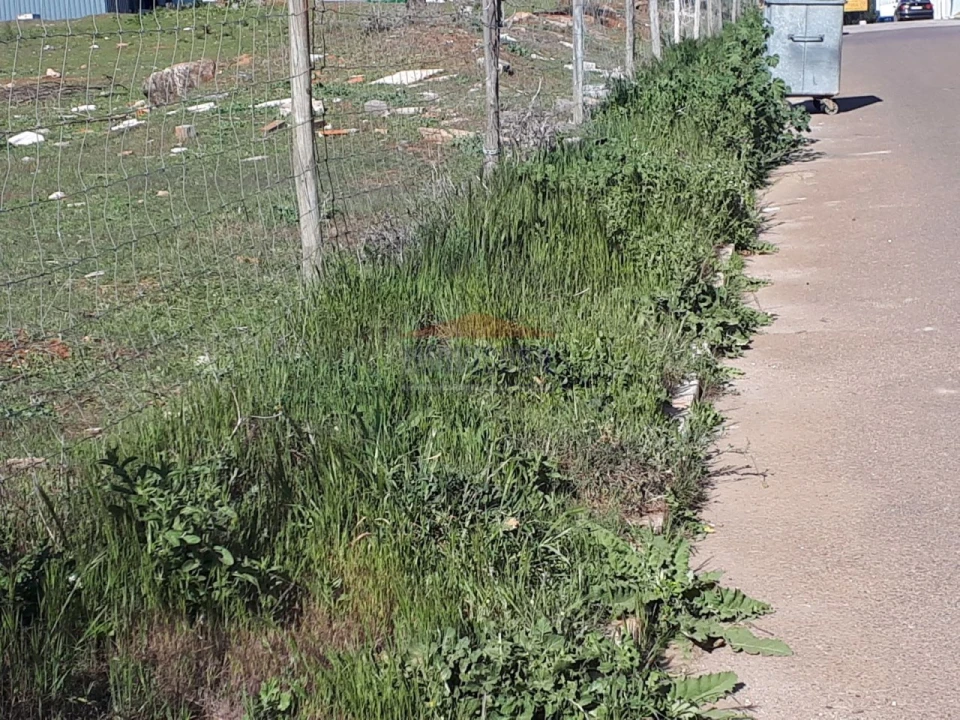 Terreno para Venda em Nossa Senhora da Conceição e São Bartolomeu Foto 4
