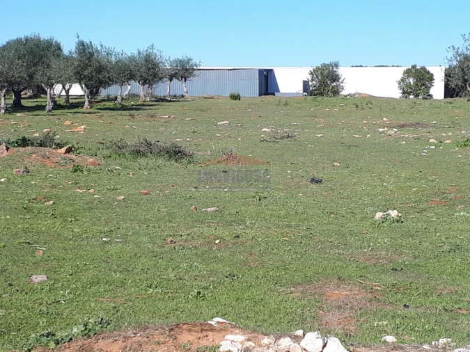 Terreno para Venda em Nossa Senhora da Conceição e São Bartolomeu