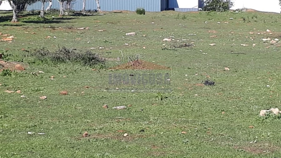 Terreno para Venda em Nossa Senhora da Conceição e São Bartolomeu