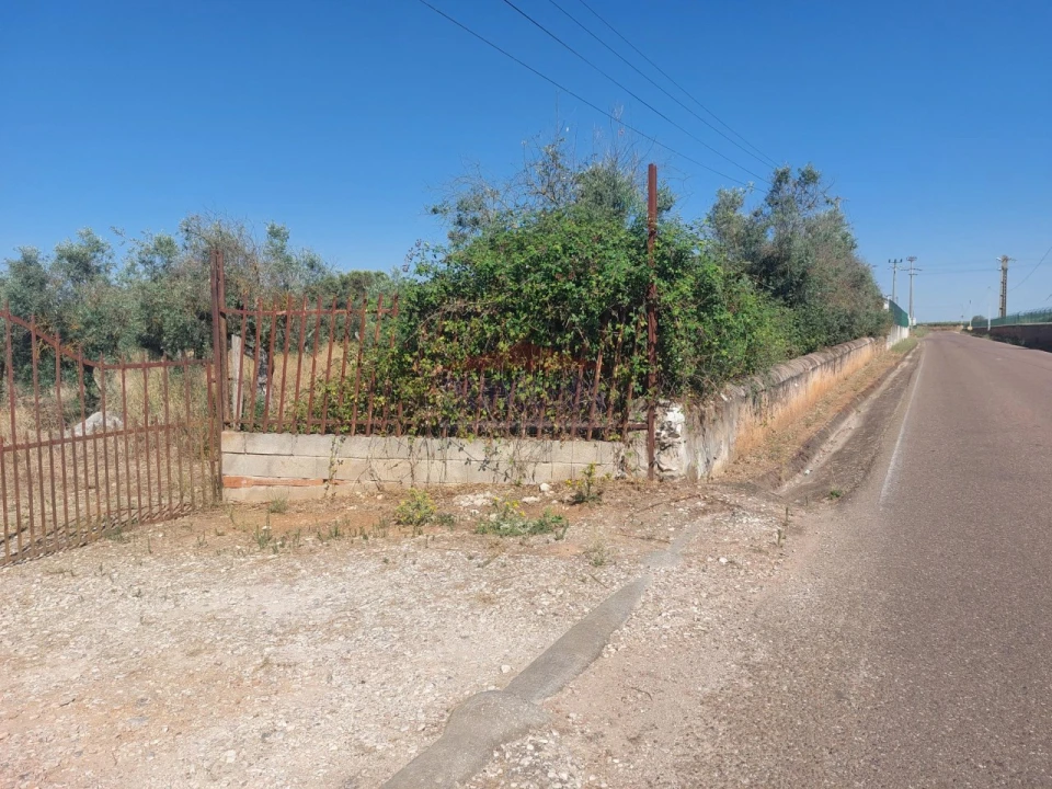 Terreno Agricola ou Rústico para Venda em Bencatel Foto 2