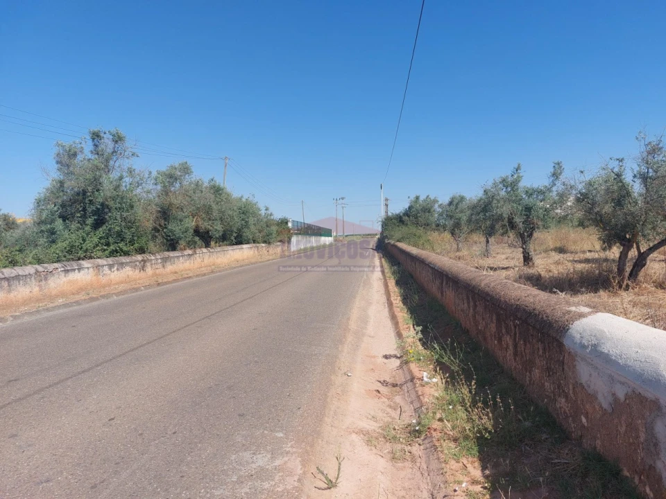 Terreno Agricola ou Rústico para Venda em Bencatel Foto 3