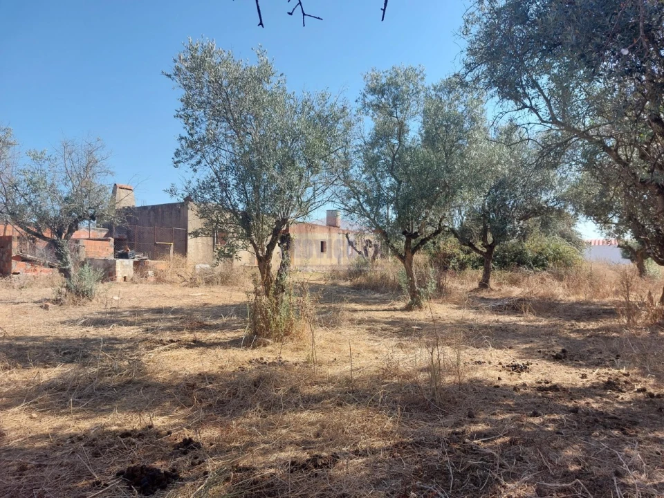 Terreno Agricola ou Rústico para Venda em Bencatel Foto 10