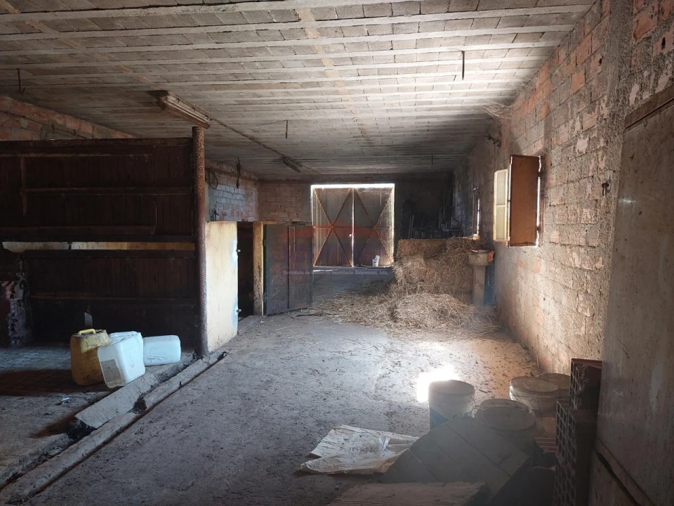 Terreno Agricola ou Rústico para Venda em Bencatel Foto 13