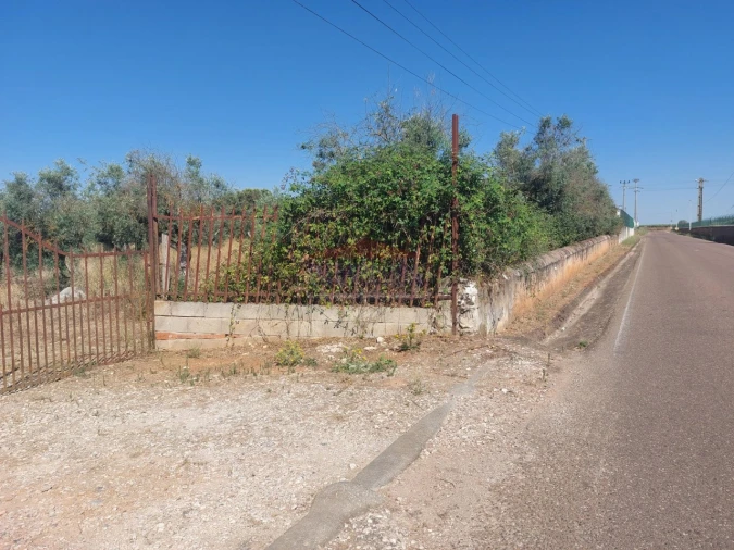 Terreno Agricola ou Rústico para Venda em Bencatel