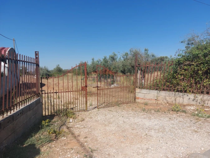 Terreno Agricola ou Rústico para Venda em Bencatel Foto 2